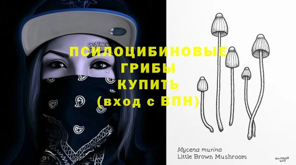 герыч Алексин