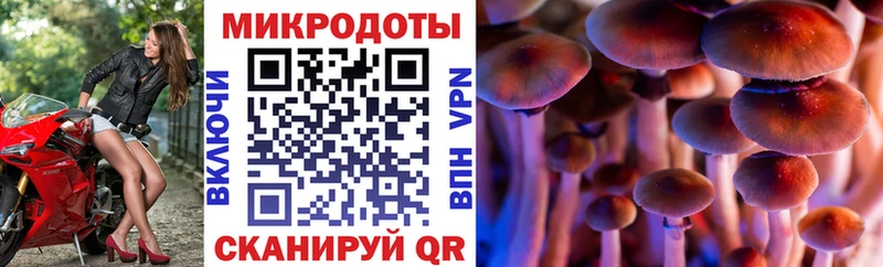 мориарти какой сайт Звенигород Галлюциногенные грибы MAGIC MUSHROOMS