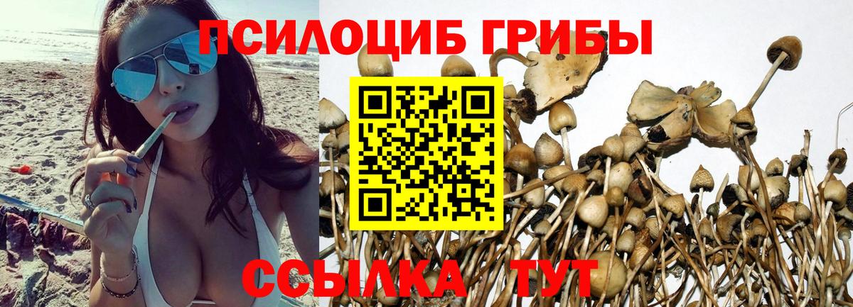 Звенигород  Псилоцибиновые грибы мухоморы  Вход с VPN  Галлюциногенные грибы Psilocybe 